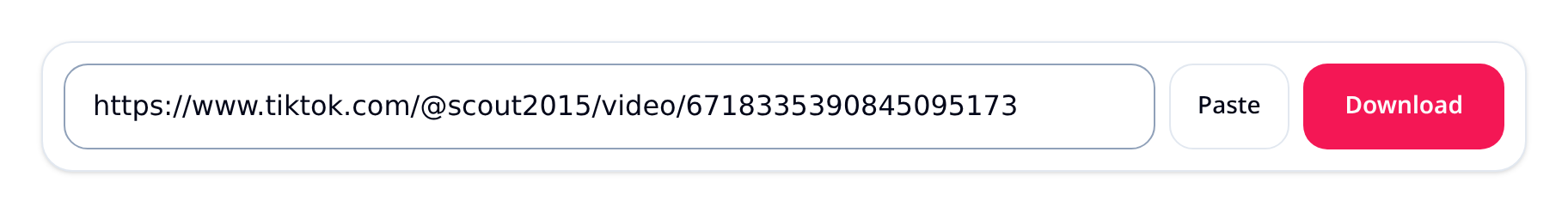 Step 1: Paste a TikTok video URL into the TokVido downloader input