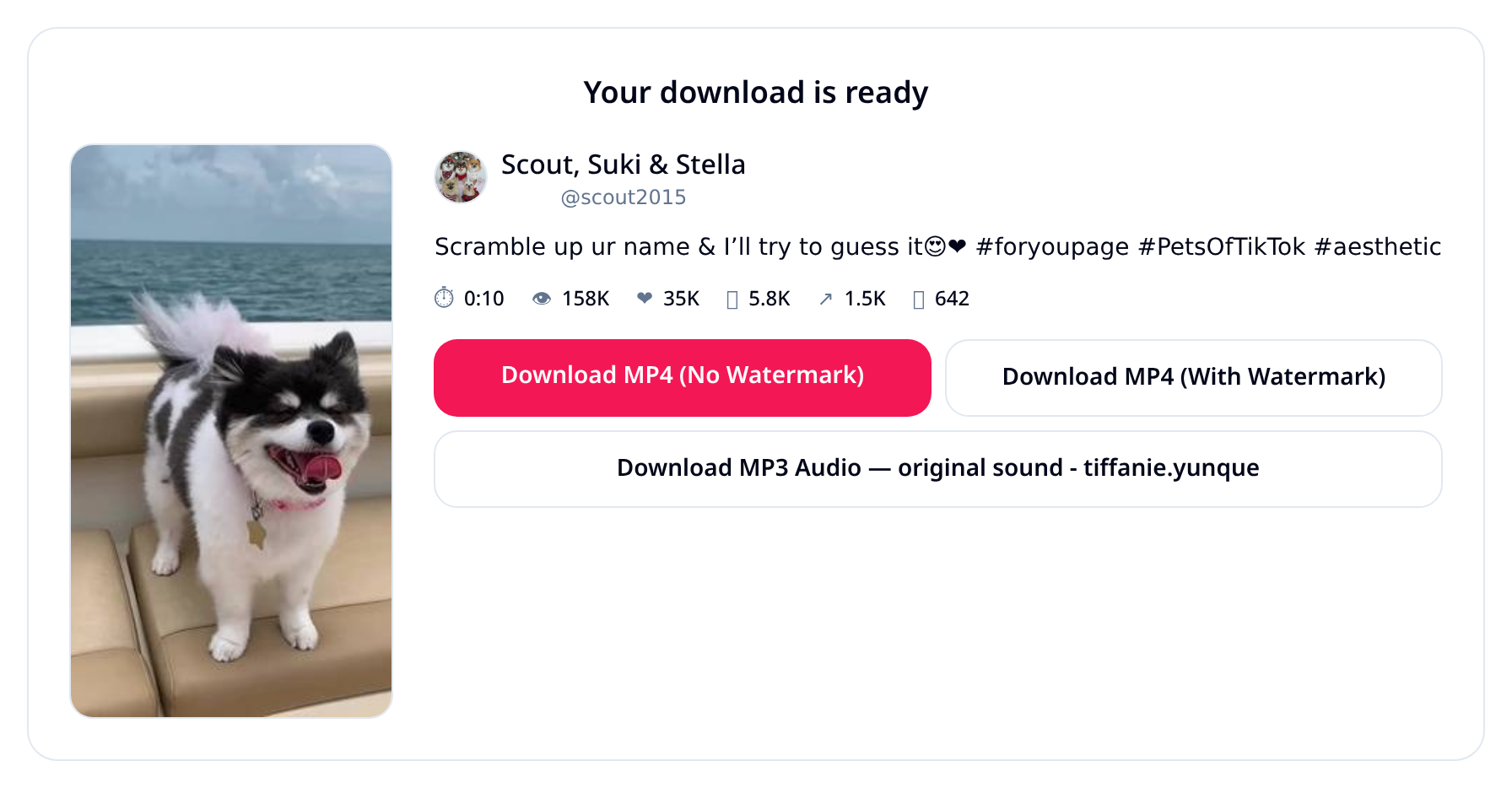 Step 2: TokVido result card showing HD MP4, watermarked MP4 and MP3 download buttons plus author, stats and cover